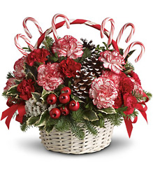 Candy Cane Christmas from Schultz Florists, flower delivery in Chicago